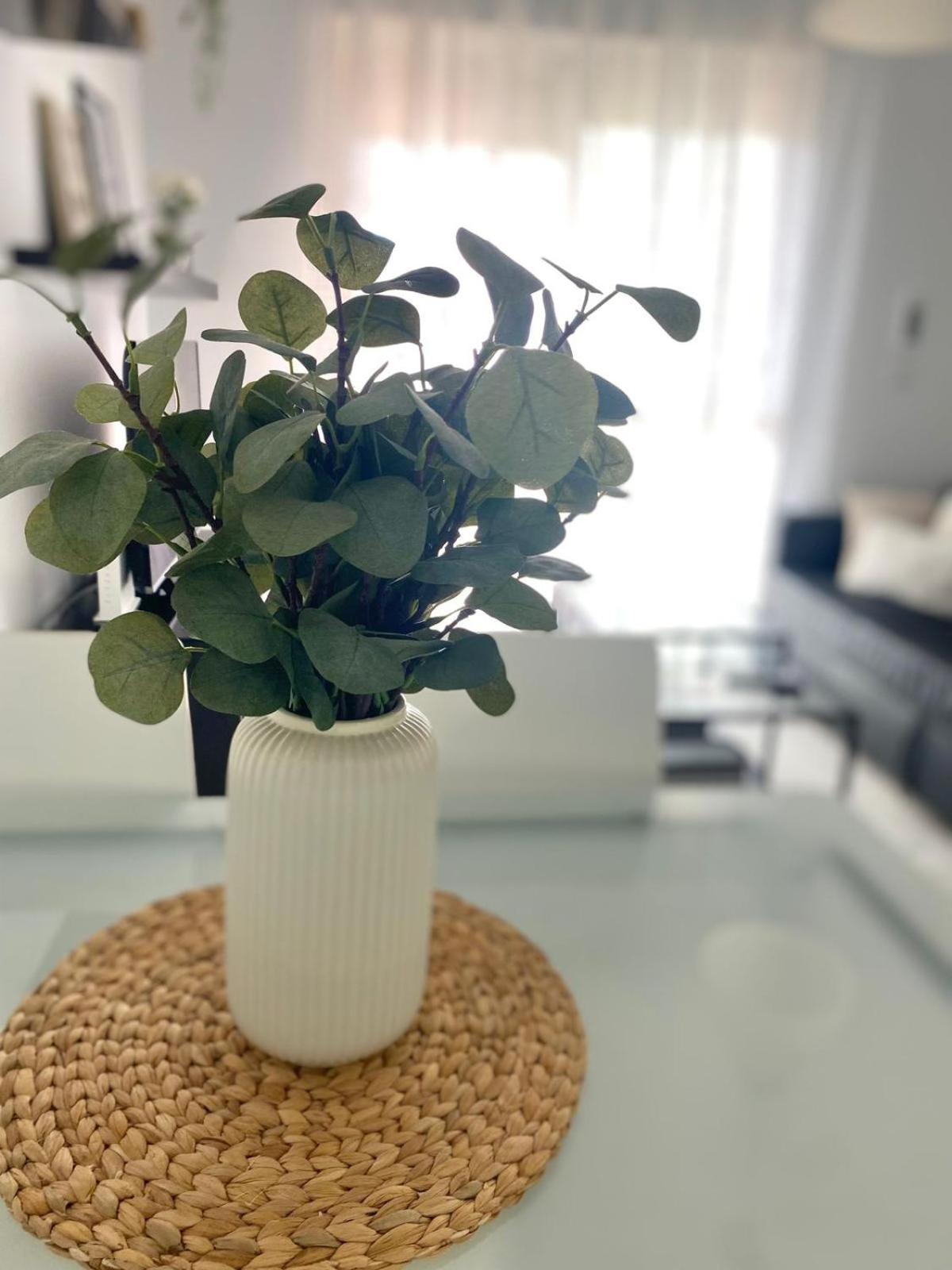 Apartamento Atlantico ロタ エクステリア 写真